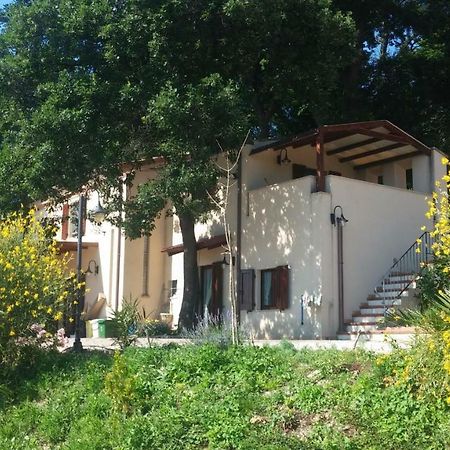 Le Querce Bed & Breakfast Анкона Екстериор снимка