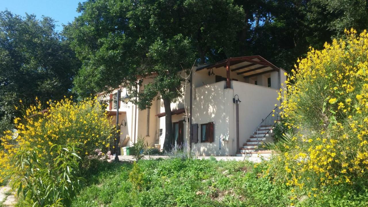 Le Querce Bed & Breakfast Анкона Екстериор снимка